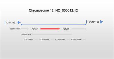 Role and therapeutic targets of P2X7 receptors in neurodegenerative diseases